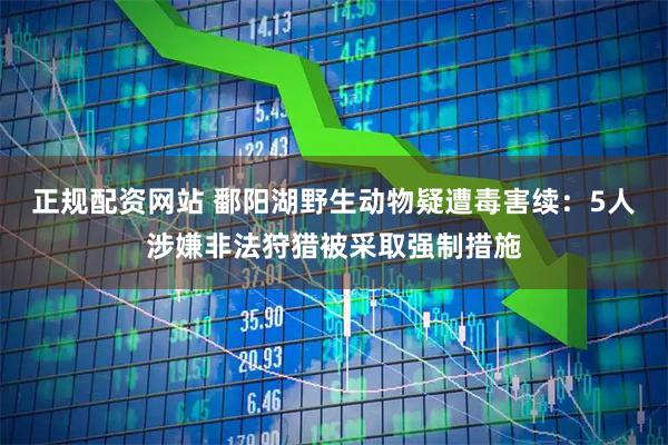正规配资网站 鄱阳湖野生动物疑遭毒害续：5人涉嫌非法狩猎被采取强制措施